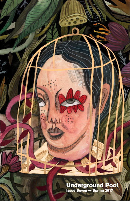 A cover of Underground Pool spring issue 2017. An illustrated head with a flower around one eye is seen in a bird cage.