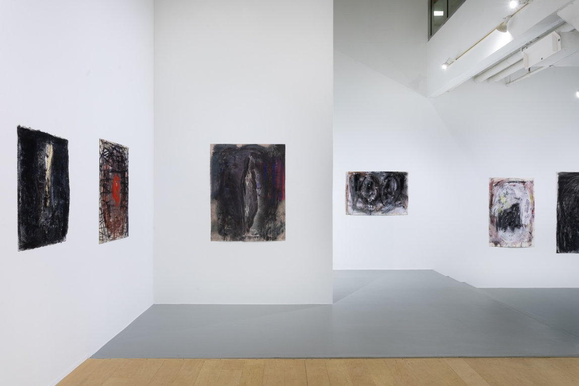 Installation view of a series of drawings across the back of the gallery