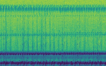 An abstract blue, green and yellow gradient that resembles audio files.