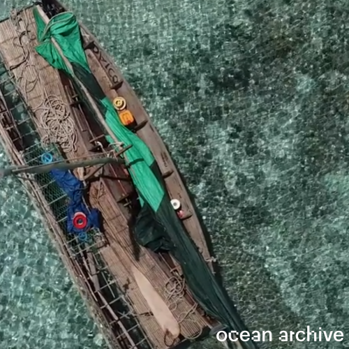 An overhead shot of a canoe on green water, overlaid with the words "ocean archive"